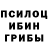Псилоцибиновые грибы Psilocybine cubensis Caffi Ka