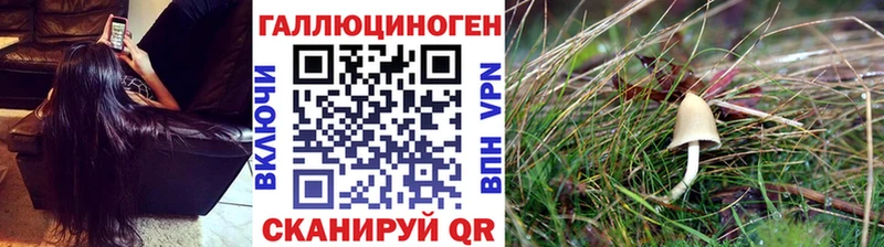 Галлюциногенные грибы ЛСД  Монино 